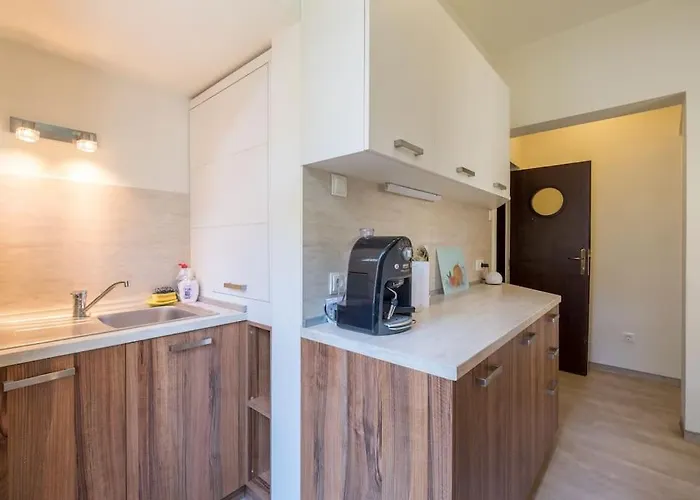 Very & Aristocratic 2 Bedroom With Air Conditioning * סופיה